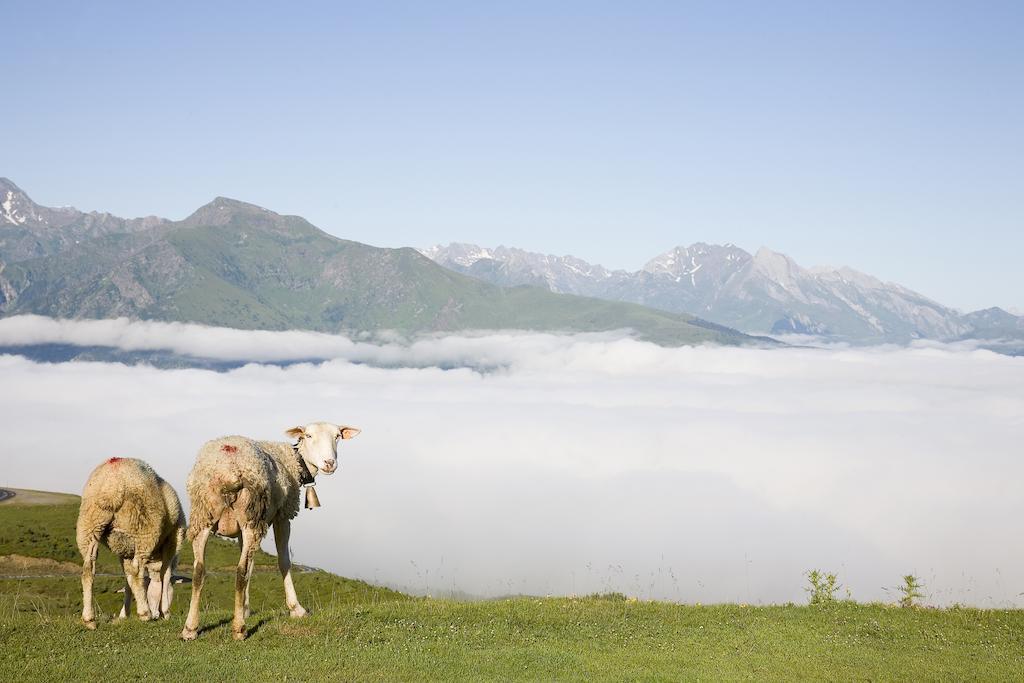 Hotel Le Viscos Saint-Savin  Eksteriør bilde