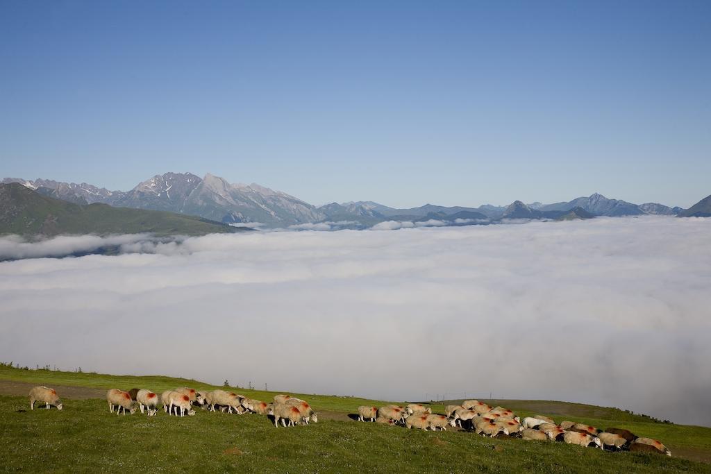 Hotel Le Viscos Saint-Savin  Eksteriør bilde